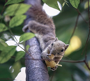 免费轰炸软件版