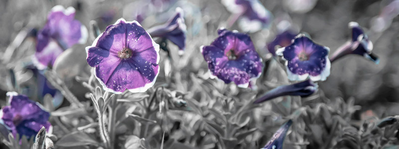 免费轰炸软件版